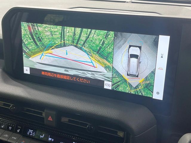 TOYOTA LANDCRUISER 250 2024