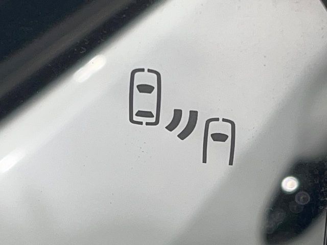 TOYOTA LANDCRUISER 250 2024