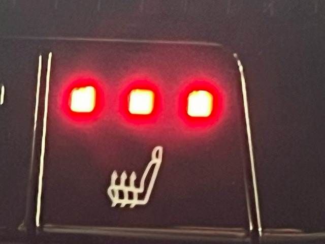 TOYOTA LANDCRUISER 250 2024