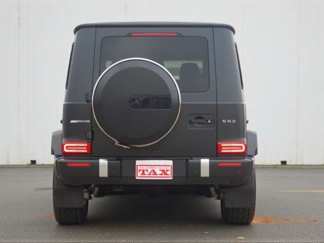 MERCEDES BENZ MERCEDES AMG G class 2021