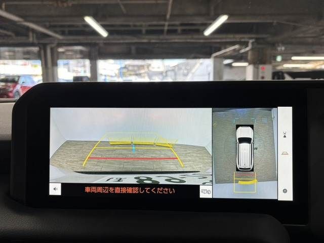 TOYOTA LANDCRUISER 250 2024