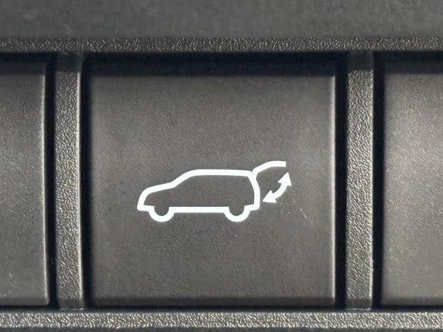 TOYOTA LANDCRUISER 250 2024