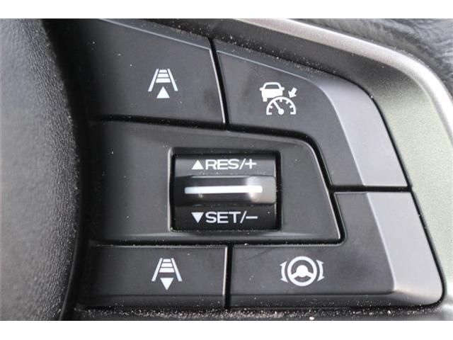 SUBARU FORESTER 2023