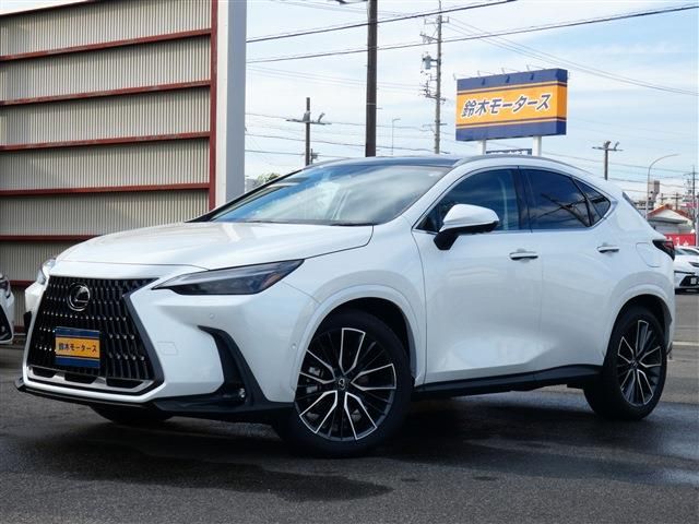 TOYOTA LEXUS NX450h+ AWD 2024