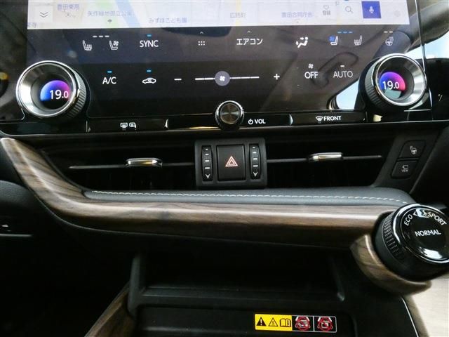 TOYOTA LEXUS NX450h+ AWD 2024