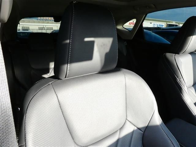 TOYOTA LEXUS NX450h+ AWD 2024