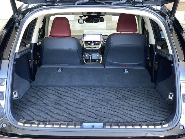 TOYOTA LEXUS NX300h 2018