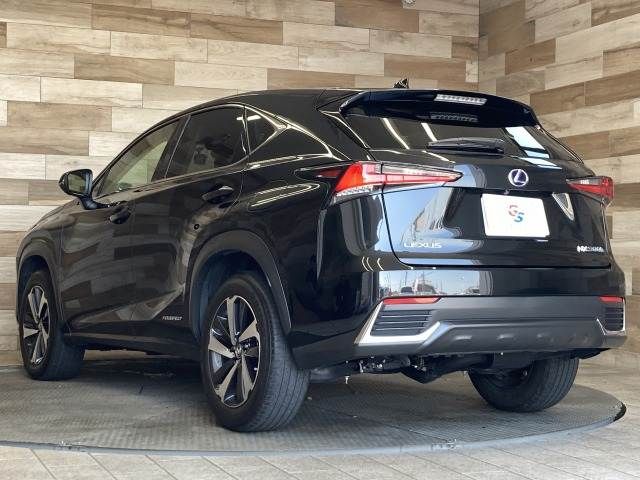 TOYOTA LEXUS NX300h 2018