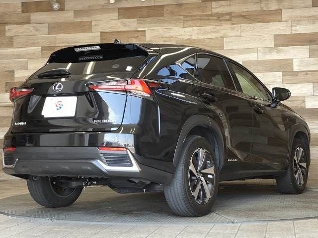 TOYOTA LEXUS NX300h 2018