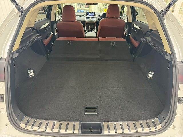 TOYOTA LEXUS NX300h AWD 2017