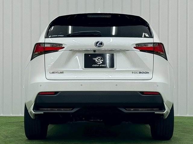 TOYOTA LEXUS NX300h AWD 2017