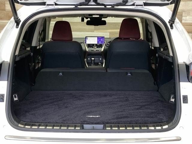 TOYOTA LEXUS NX300h 2019