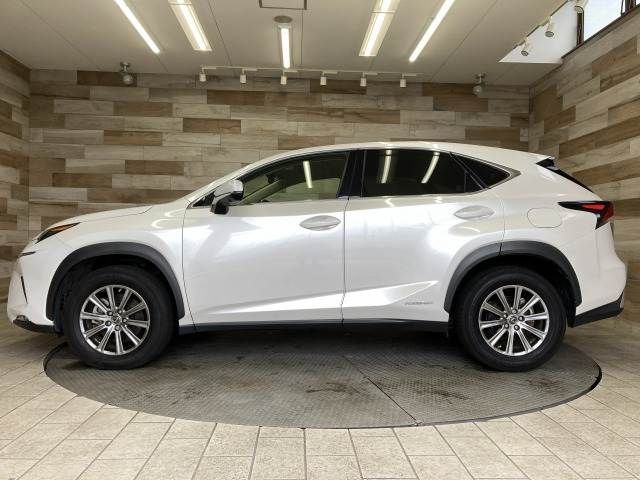 TOYOTA LEXUS NX300h 2019