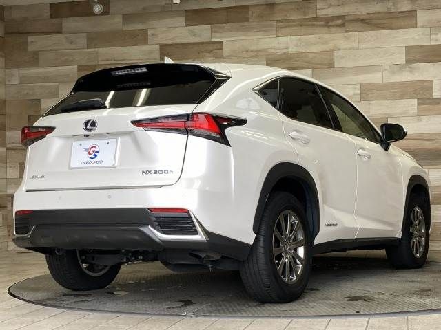 TOYOTA LEXUS NX300h 2019