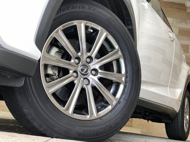 TOYOTA LEXUS NX300h 2019