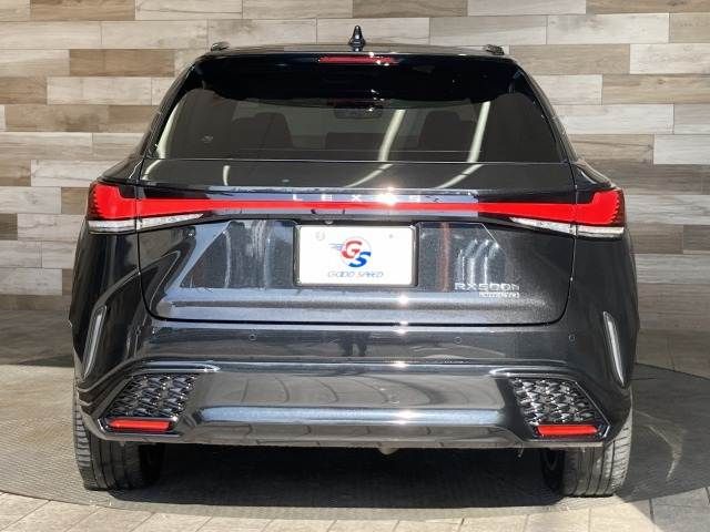 TOYOTA LEXUS RX500h 2023