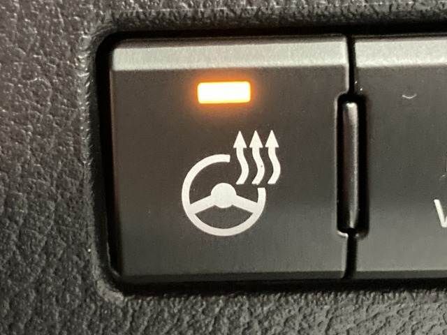 TOYOTA LEXUS NX300h 2020