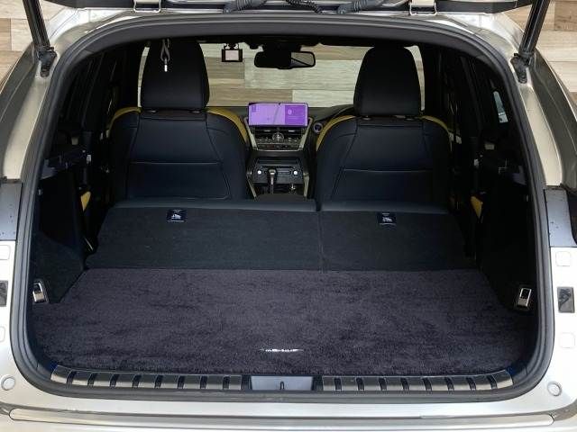 TOYOTA LEXUS NX300h 2020