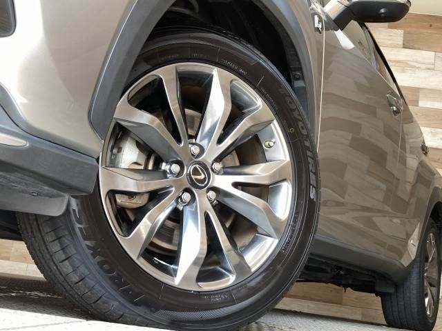 TOYOTA LEXUS NX300h 2020