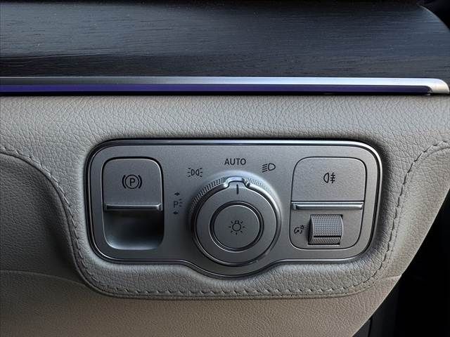 MERCEDES BENZ MERCEDES BENZ GLS class 2020