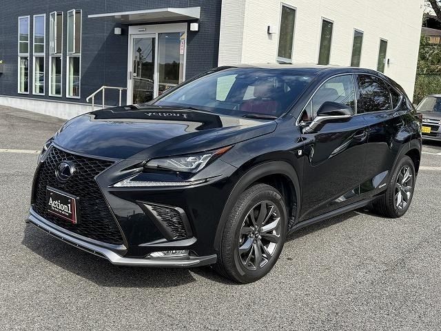 TOYOTA LEXUS NX300h 2019