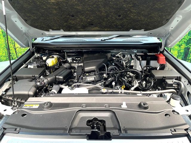 TOYOTA LANDCRUISER 250 2025