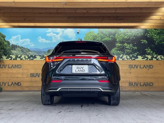 TOYOTA LEXUS NX350h 2023