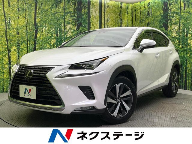 TOYOTA LEXUS NX300 2018