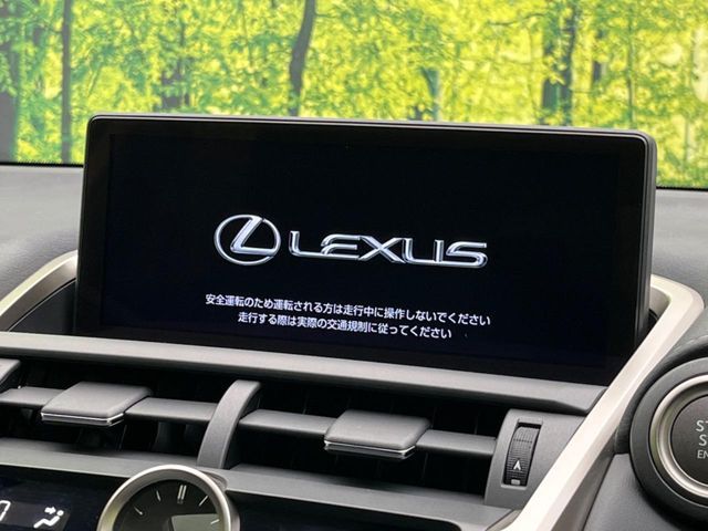 TOYOTA LEXUS NX300 2018