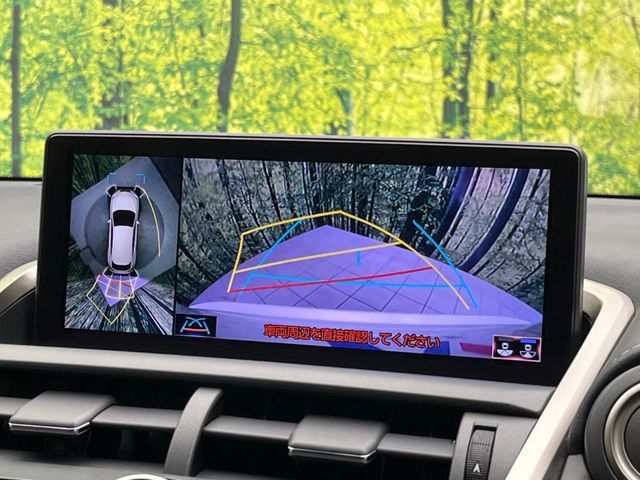 TOYOTA LEXUS NX300 2018