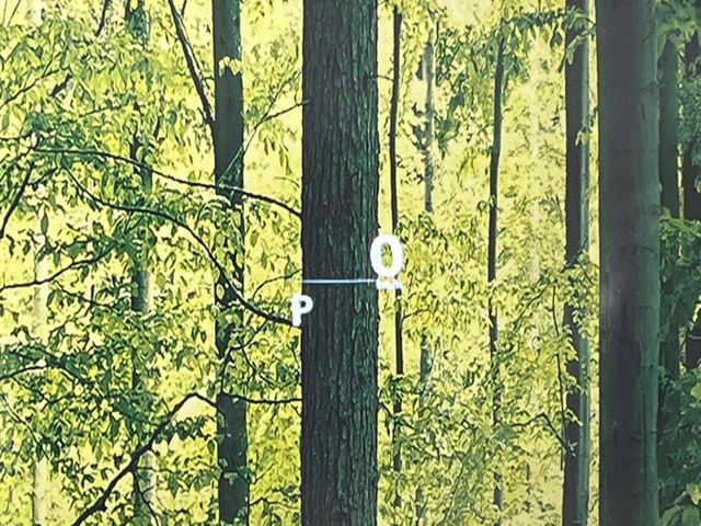 TOYOTA LEXUS NX300 2018