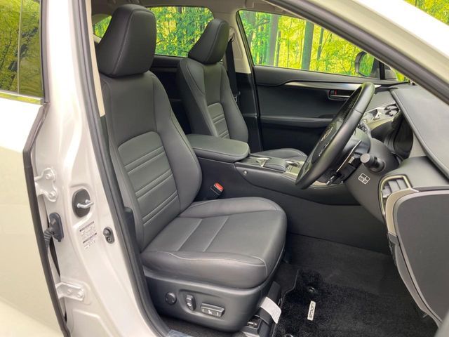 TOYOTA LEXUS NX300 2018