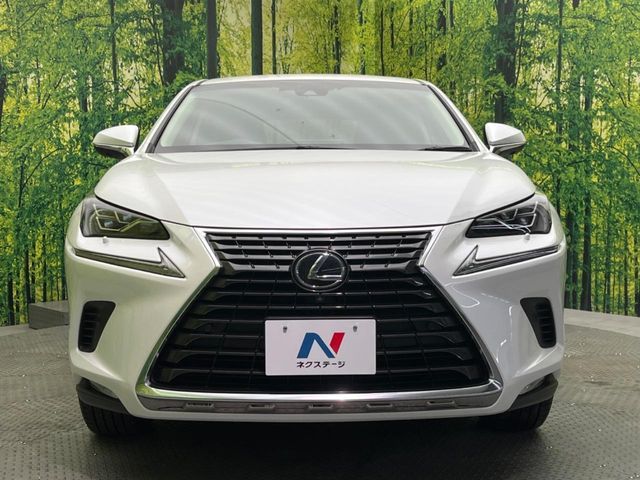 TOYOTA LEXUS NX300 2018