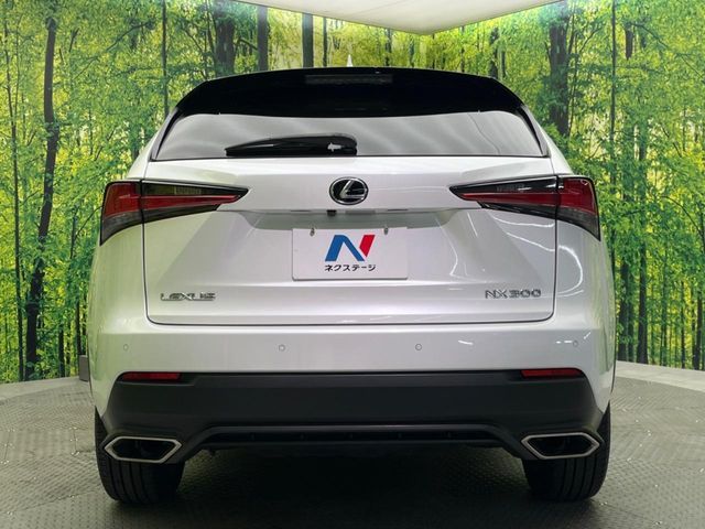 TOYOTA LEXUS NX300 2018