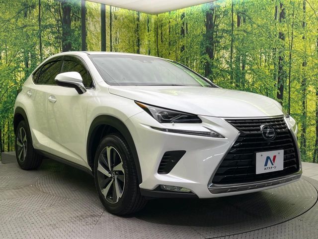 TOYOTA LEXUS NX300 2018