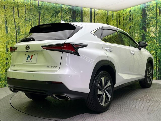 TOYOTA LEXUS NX300 2018