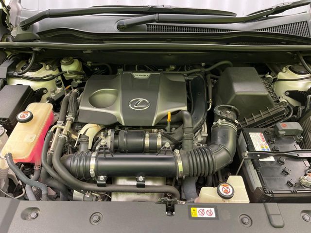 TOYOTA LEXUS NX300 2018