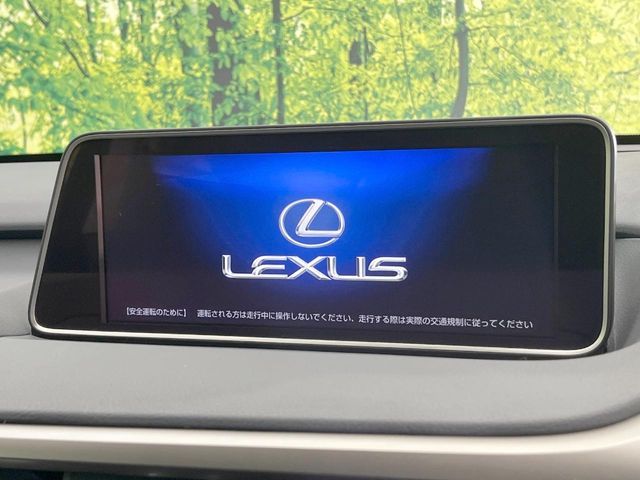 TOYOTA LEXUS RX300 2018