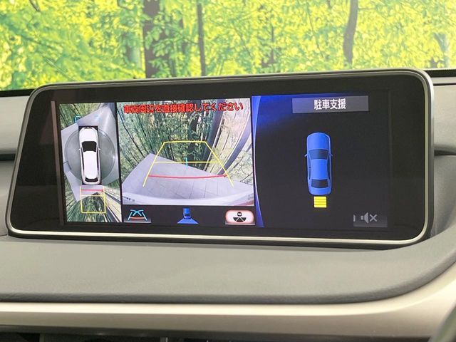 TOYOTA LEXUS RX300 2018