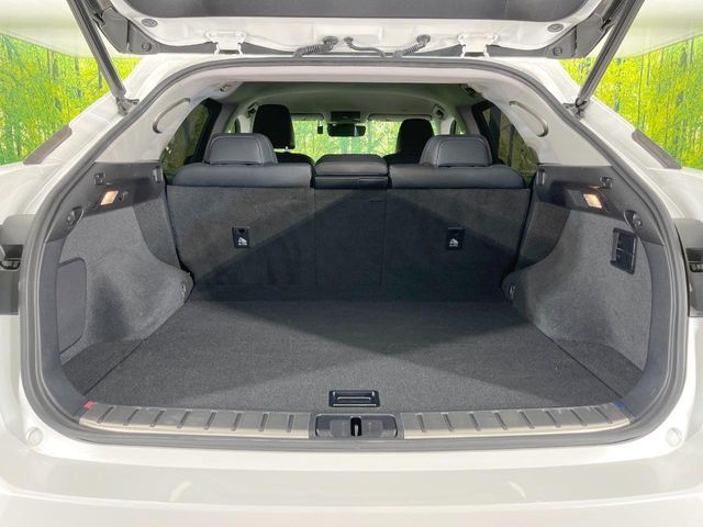 TOYOTA LEXUS RX300 2018