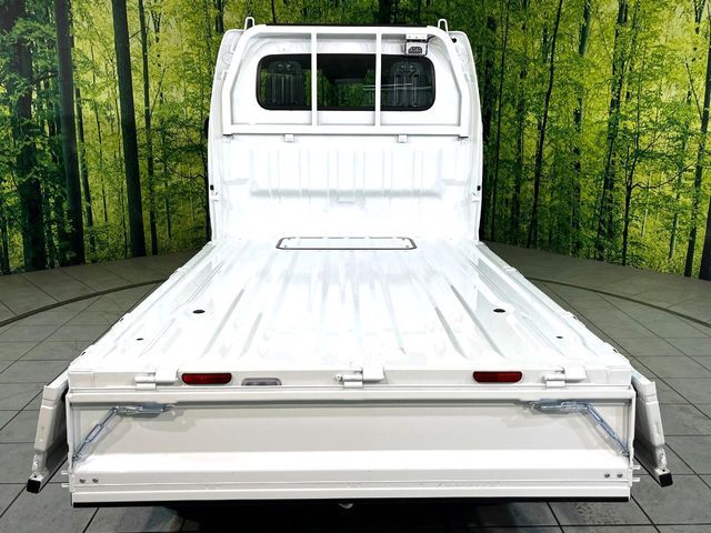 MITSUBISHI MINICAB truck 4WD 2025