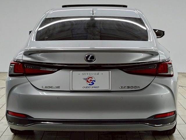 TOYOTA LEXUS ES300h 2019