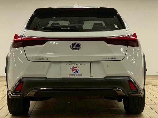 TOYOTA LEXUS UX250h 2019