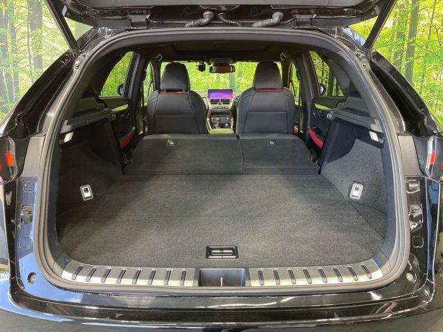 TOYOTA LEXUS NX300h 2018