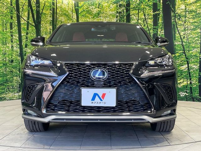 TOYOTA LEXUS NX300h 2018