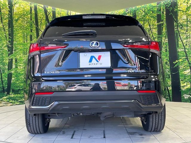 TOYOTA LEXUS NX300h 2018