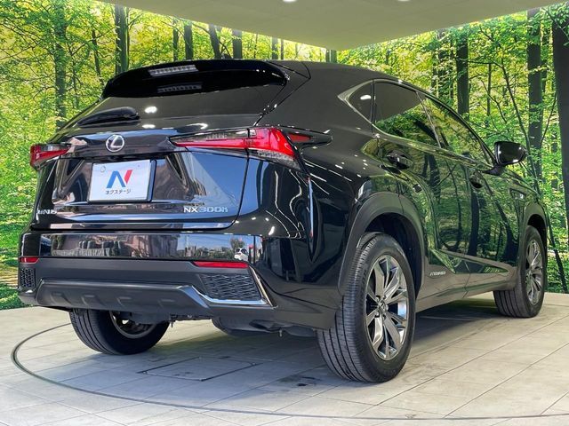 TOYOTA LEXUS NX300h 2018