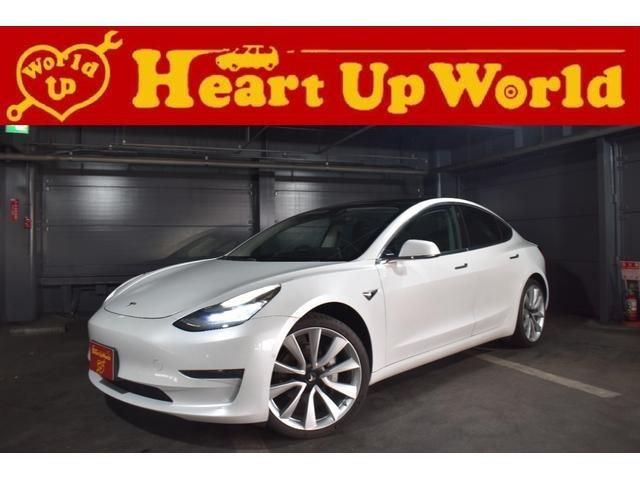 TESLA TESLA MODEL 3 2019