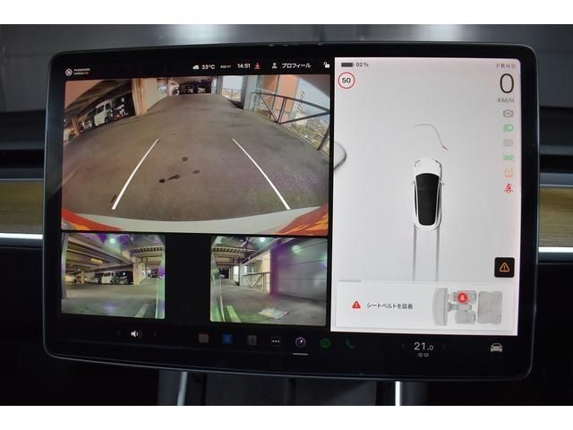 TESLA TESLA MODEL 3 2019