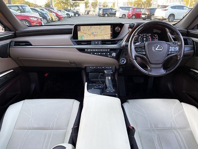 TOYOTA LEXUS ES300h 2020